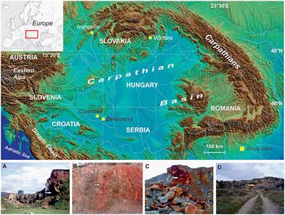 Plio-Pleistocene Dust Traps on Paleokarst Surfaces: A Case Study From the Carpathian Basin